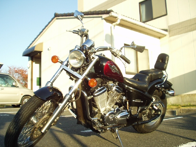 STEED600